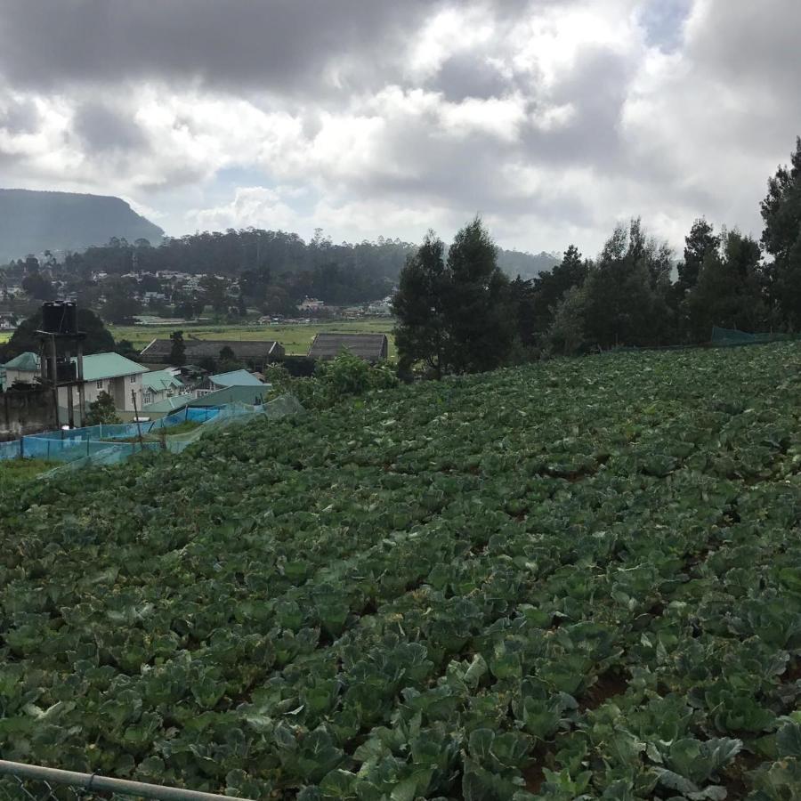 Dahlia Mount View Hotel Nuwara Eliya Dış mekan fotoğraf